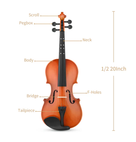 ערכת כינור EVA2 1/2 מבית EASTAR