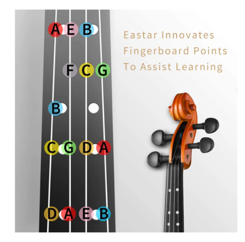 ערכת כינור EVA2 1/2 מבית EASTAR