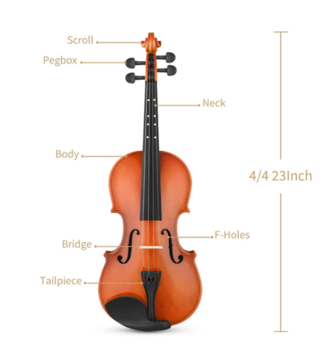 ערכת כינור EVA-2 4/4 מבית EASTAR