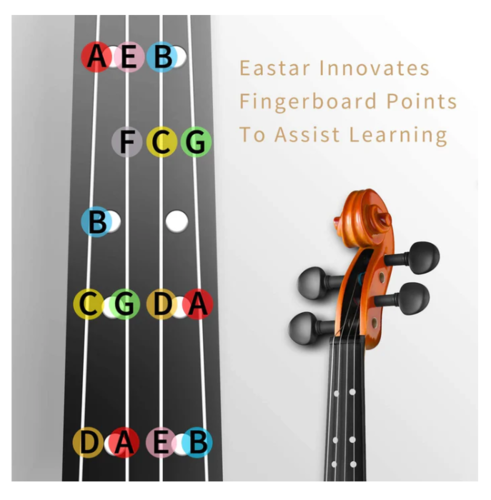 ערכת כינור EVA-2 4/4 מבית EASTAR