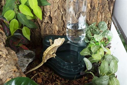 כלי מים מאגר עם פוגר 5*15 REPTIZOO 15.5 ס