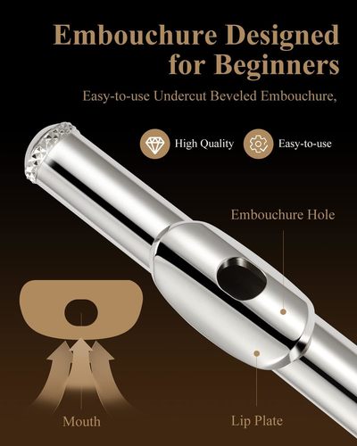 ערכת חליל צד נפלאה EFL2 EB016 מבית EASTAR