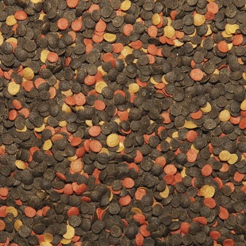 מזון מלאווי צ'יפס 1000 גרם בשקית Tropical Malawi Chips