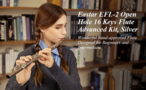 ערכת חליל צד נפלאה EFL2 EB016 מבית EASTAR