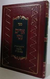 ארים נסי - בבא מציעא חלק ב