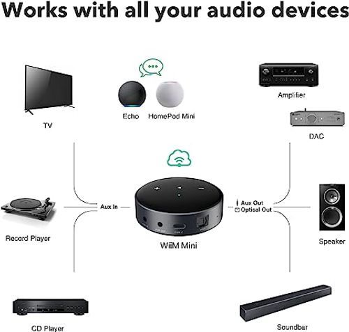 סטרימר wiim mini