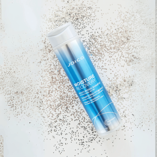 שמפו לשיער יבש Moisture Recovery Moisturizing Shampoo גודל 300 מ