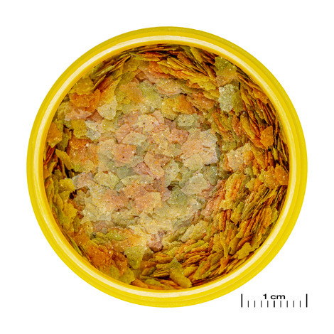 JBL מזון דגים פרו נובו בטא דפים 100 גר'  PRONOVO BETTA FLAKES S