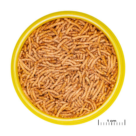 JBL מזון דגים פרו נובו בטא מקלונים 100 מ