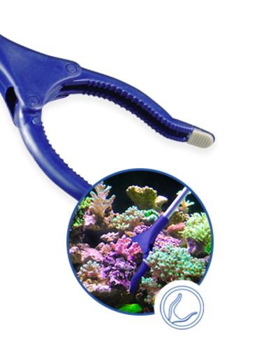 תפסן אלמוגים מקצועי Coral Gripper 60 