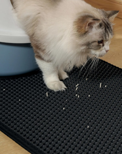 אמ פטס M-Pets לחתול שטיח פטנט מלבני לאורך בצבע שחור
