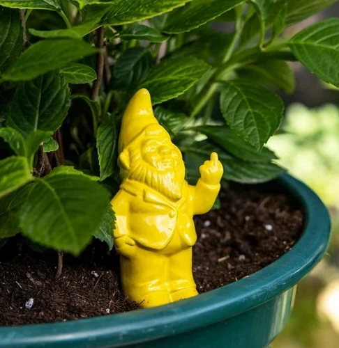משקה עציצים אוטומטי גמד חצוף Gnome