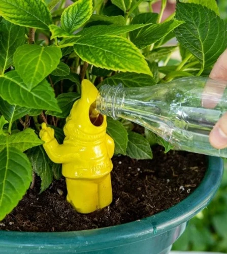 משקה עציצים אוטומטי גמד חצוף Gnome
