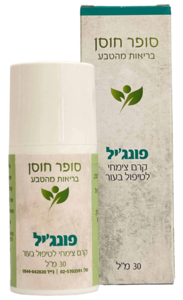 פונג