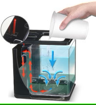 מרינה אקווריום לדגי קרב 3.7 ליטר