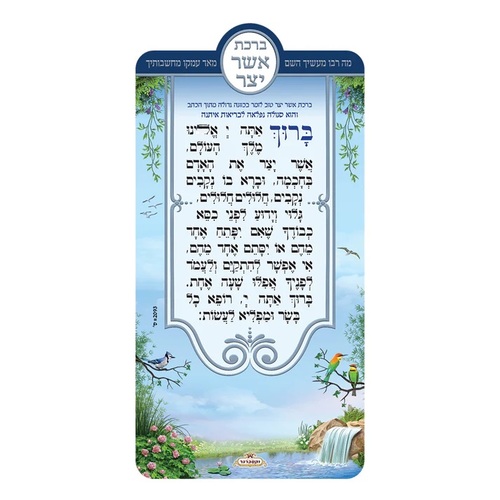 אשר יצר מגנט ע