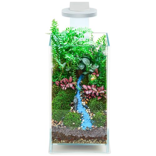 צ'ירוס סט טרריום מלבני Glass Air Terrarium 