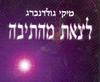 לצאת מהתיבה (יד 2) - מיקי גולדנברג