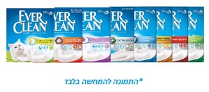דיל ! 4 יחידות חול Ever Clean אוור קלין 10 ליטר ב-399 ש"ח