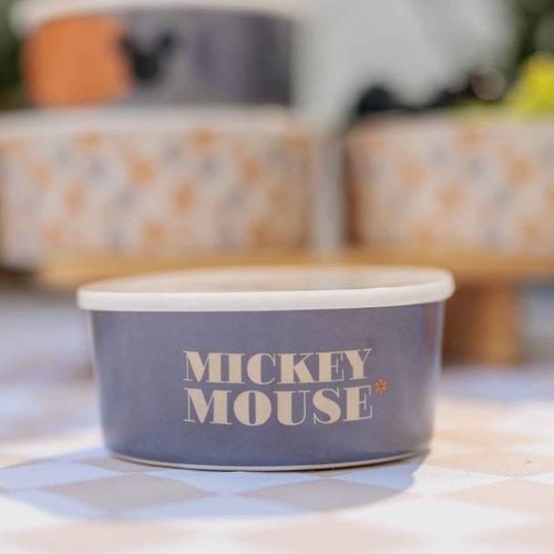 Mickey & Minnie - קופסת אוכל מלמין מיקי מאוס