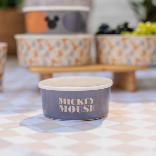 Mickey & Minnie - קופסת אוכל מלמין מיקי מאוס