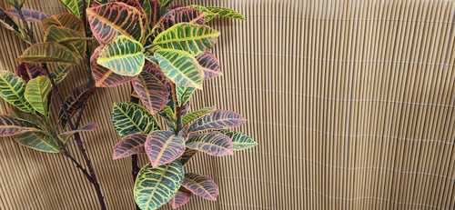 גדר במבוק סינטטי PVC במידה 2X5 מ' EverGreen  צבע צהוב - מבצע כסאח !!!!