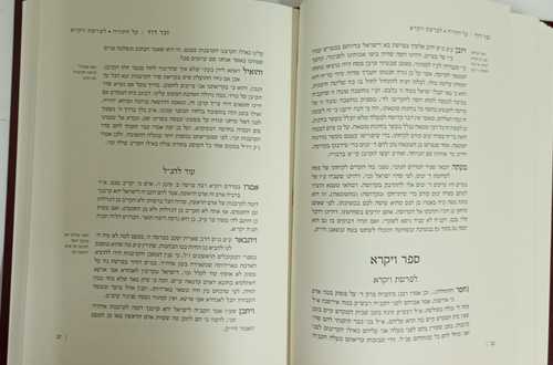 זכר דוד ד
