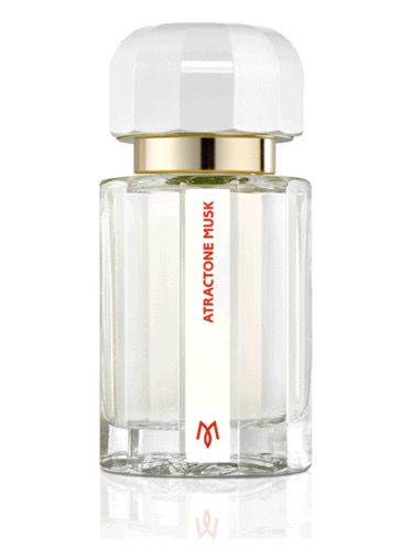 Attractone Musk – אטרקטון מאסק
