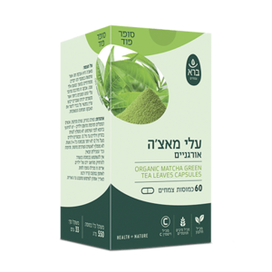 עלי מאצ