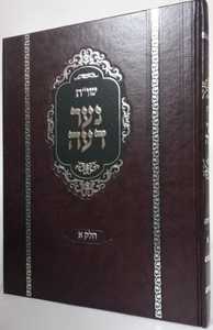 שו"ת נער דעה