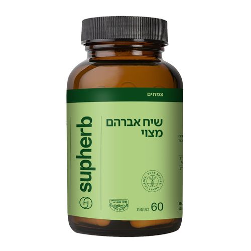 שיח אברהם מצוי (60 כמוסות) בד