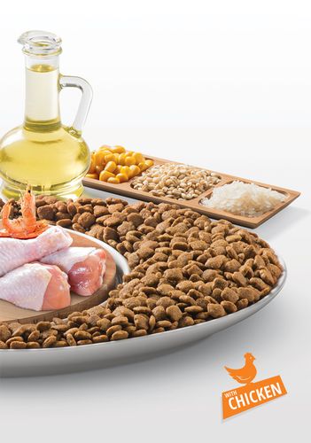 מיטו עוף מזון לחתולים 15 קג