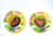 סט צינור + אביזרים 15 מטר