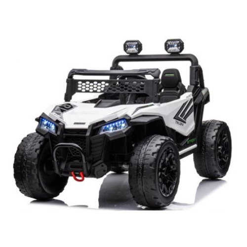 באגי UTV 24V דו מושבי עם שלט חכם מנועים חזקים-צבע לבן