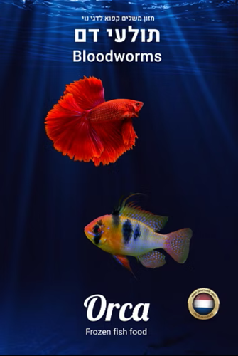מזון קפוא תולעי דם BloodWorms