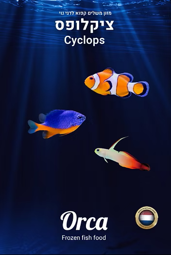 מזון קפוא ציקלופס Cyclops