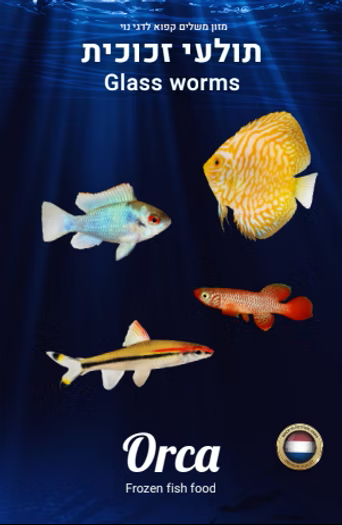 מזון קפוא תולעי זכוכית Glass Worms