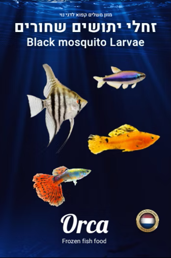 מזון קפוא יתושים שחורים Black Mosquito Larvae