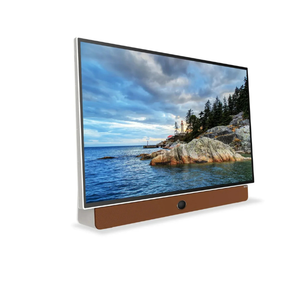 טלוויזיה אלחוטית ניידת "24 FULL HD Google TV דגם SKYWORTH 24LP60G