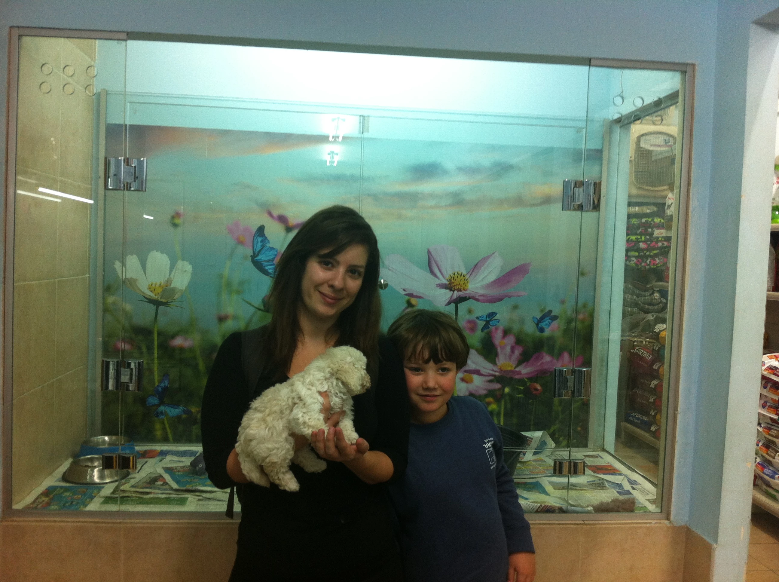 גור פודל למכירה – לקוחות ממליצים על מולי חיות מחמד