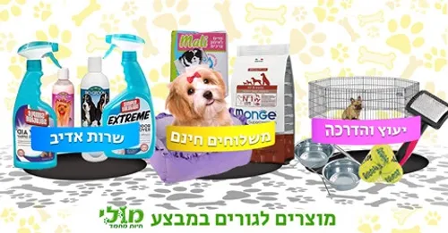 אילוף גורים וחינוך כלבים- מס 17 הדרכת חינוך גורים 2025