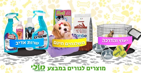 אילוף וחינוך גורים - מס 19 הדרכה המלצות לחשיפה 