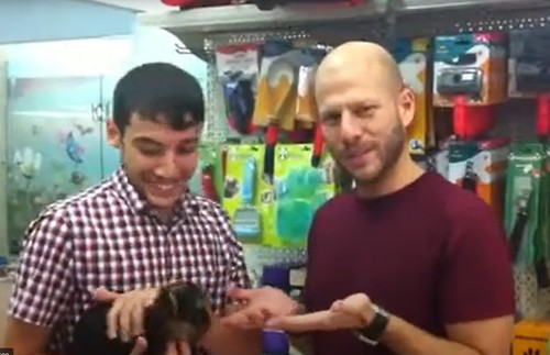 גם אנחנו ממליצים לקנות גור ממולי חיות מחמד