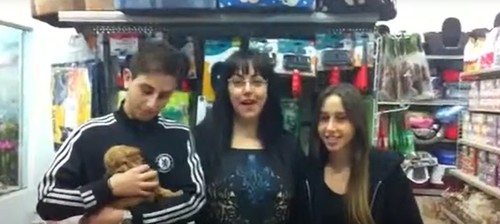 גם אנחנו ממליצים לקנות גור ממולי חיות מחמד