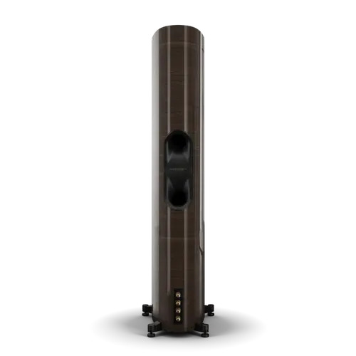 Walnut (High Gloss)