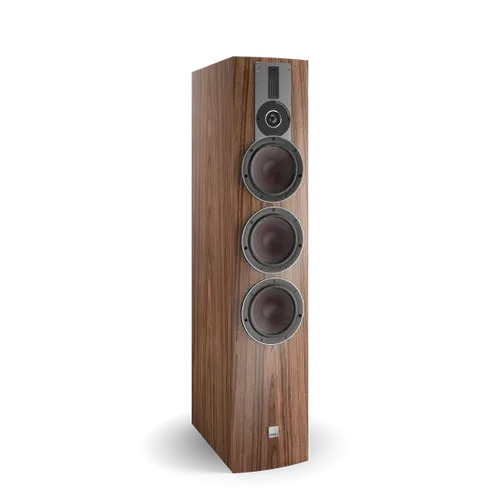 Walnut (Veneer)