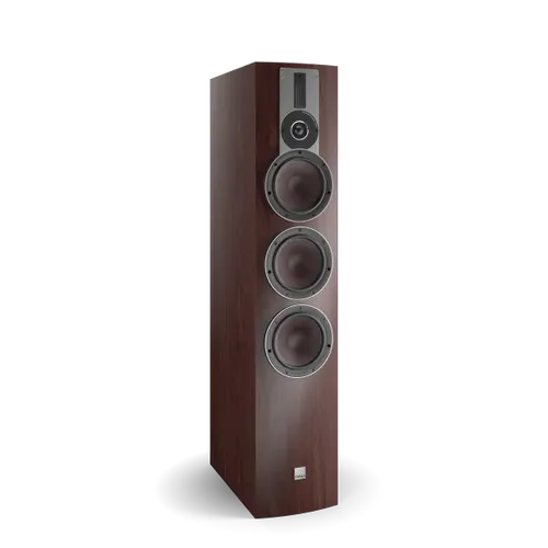 Maroon (Veneer)