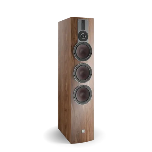 Natural Walnut (Veneer)