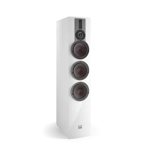  White (High Gloss Lacquer)