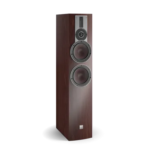 Maroon (Veneer)